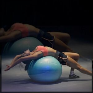Bally Total Fitness Exercise Ball